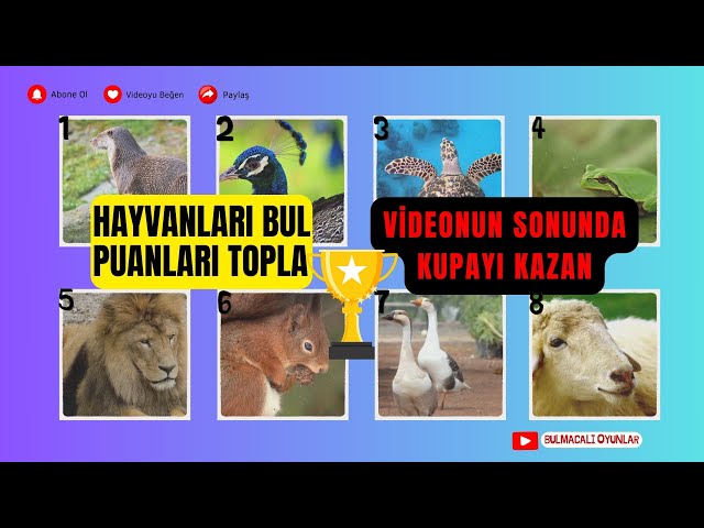 Video thumbnail for Hayvanları Bul Puanları Topla Şampiyon Ol - BULMACALI OYUNLAR #bulmacaoyunlari #zekaoyunlari