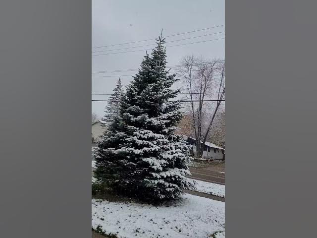 Video thumbnail for Watch this video: A sunny day, a snowy day, what changes will come in the end?