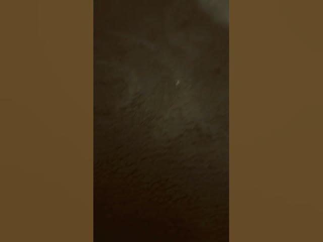 Video thumbnail for March 16, 2025