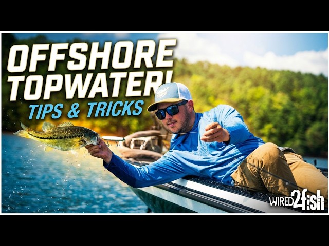 Video thumbnail for Offshore Topwater Bass Fishing | Tips & Tricks