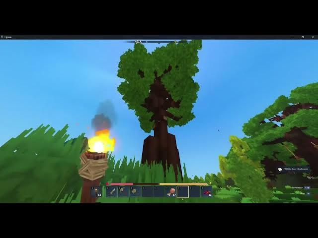 Video thumbnail for Hytale Episode 1 | Start with wandering and gathering | KingUnknownBHW