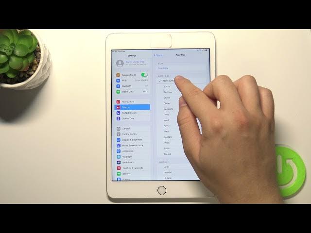 Video thumbnail for How to Find & Manage Sound Settings on iPad mini 4 – Adjust Sound Settings
