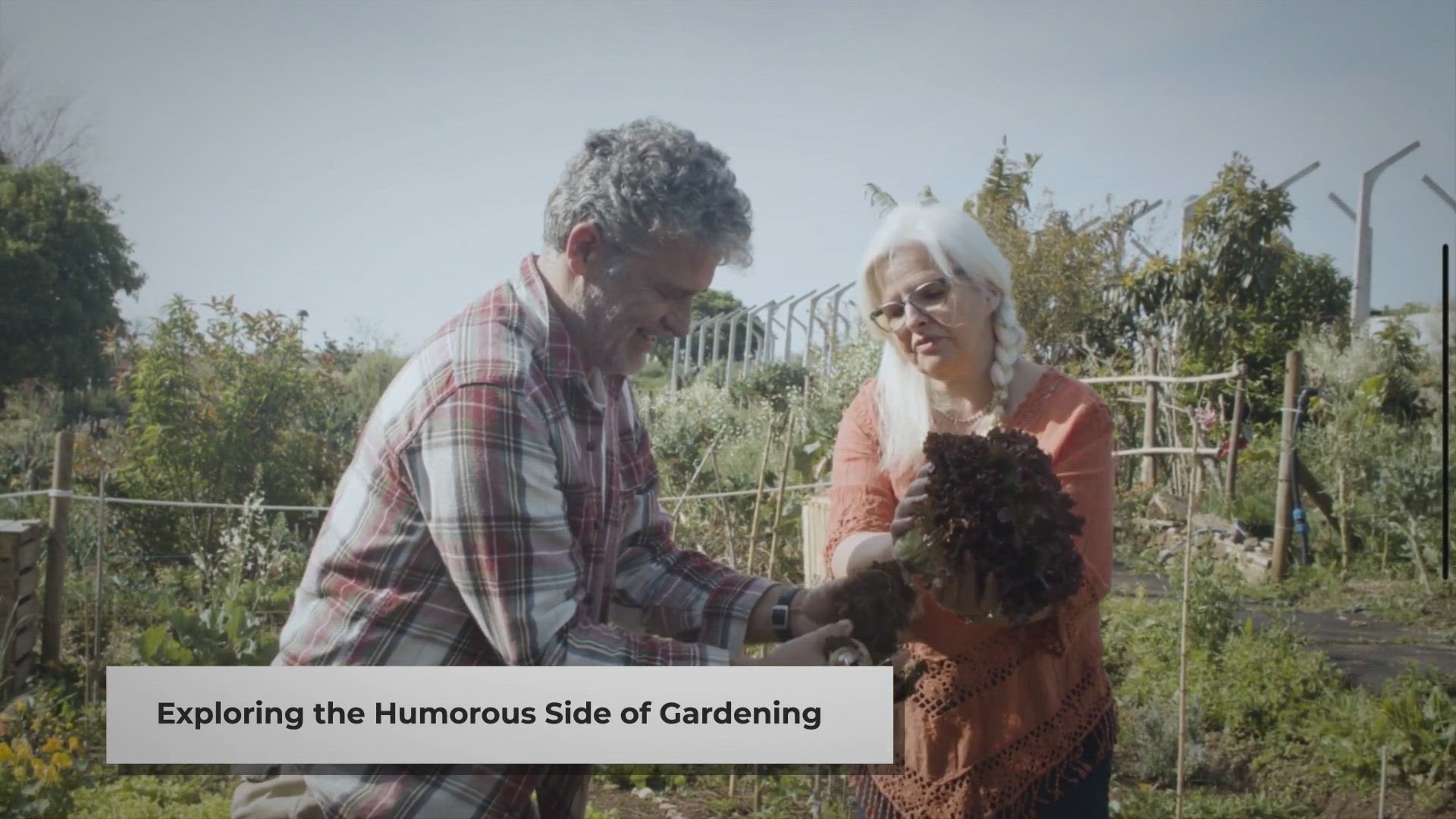 'Video thumbnail for 50 Garden Humor: Jokes for Gardening Enthusiasts'