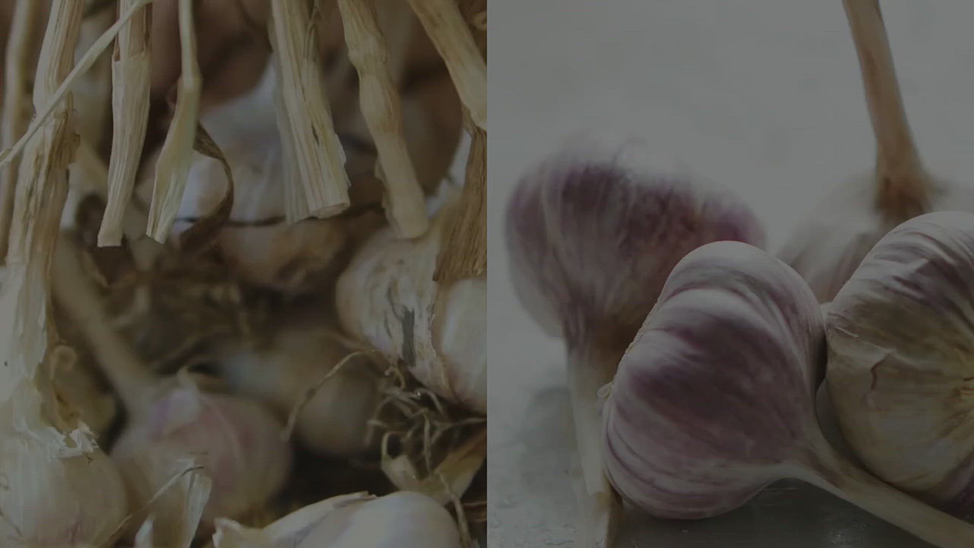 'Video thumbnail for How to Care for Your Garlic Plants'