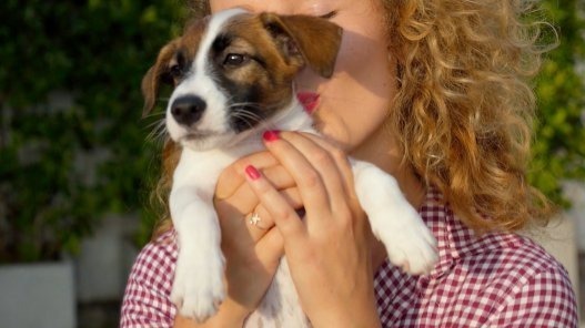 Video thumbnail for Behind the science of cute aggression: why ultra-cute moments trigger the urge to squeeze