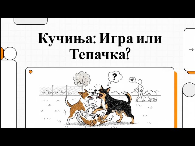Video thumbnail for Како да знаете дали кучињата си играат или се (дават) тепаат?