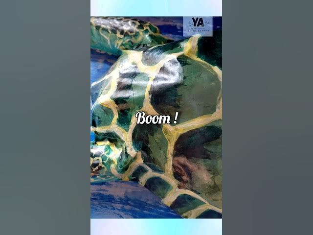 Video thumbnail for I turned my trash into this 🐢 #craftlife #satisfying #transformation