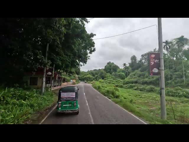 Video thumbnail for রাজকান্দি ফরেস্টের  সৌন্দর্য