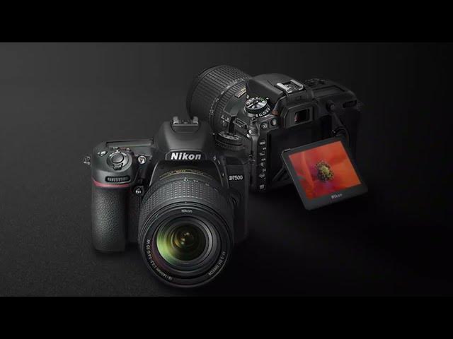 Video thumbnail for Nikon D7500 Review