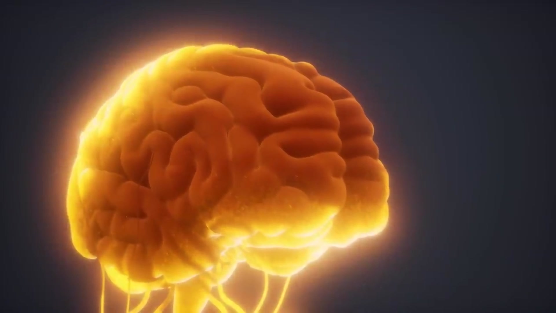 Video thumbnail for This Mineral Raises Your IQ By 10 Points (Scientific Proof)(720P HD)