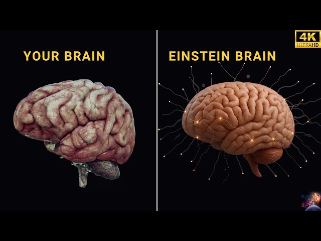 Video thumbnail for What Made Albert Einstein A Genius? Difference of Brain