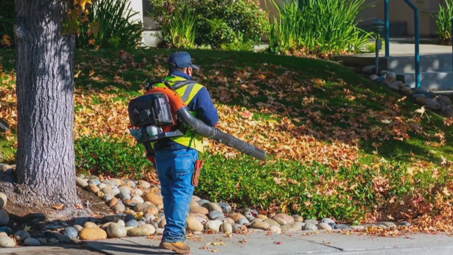 Video thumbnail for New Jersey Proposes Ban on Gas Leaf Blowers