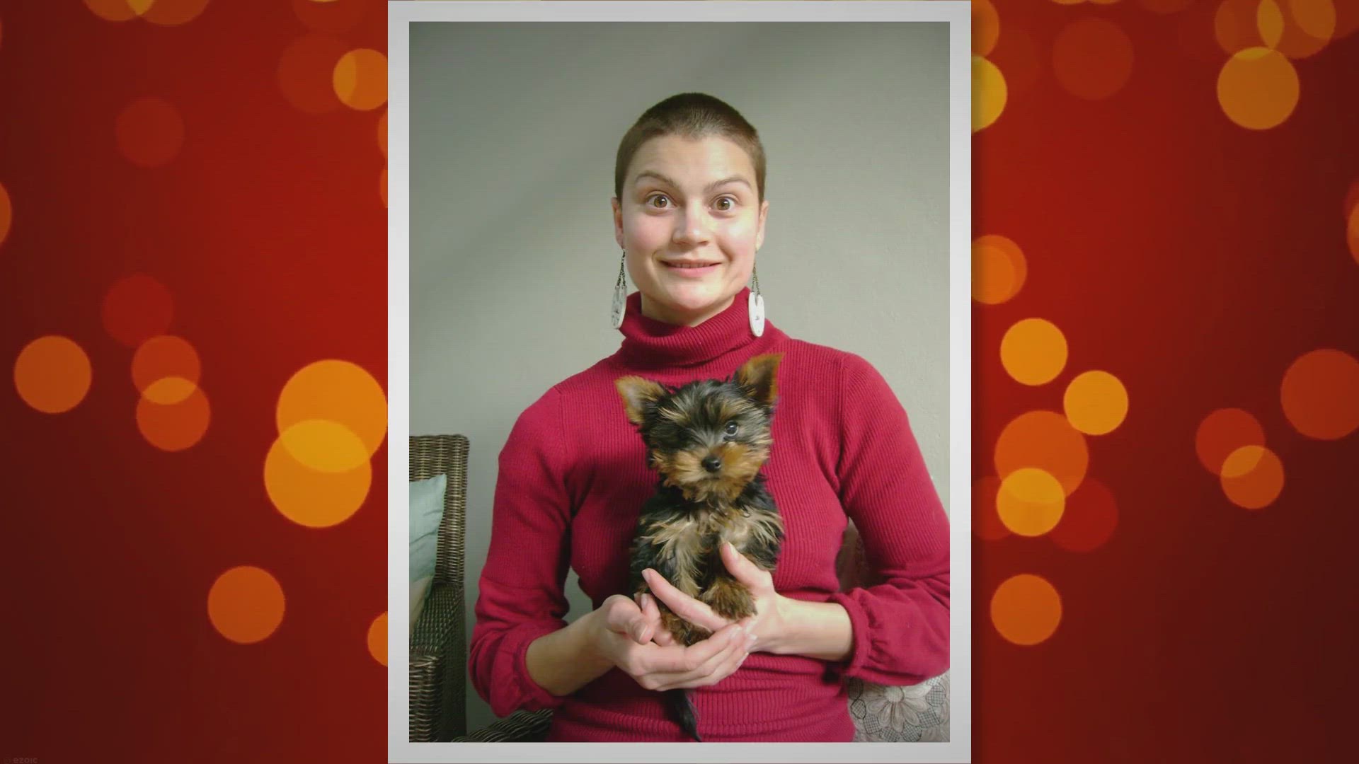 Video thumbnail for Jorkie (Jack Russell Yorkie Terrier Mix) - Is It A Good Cross?