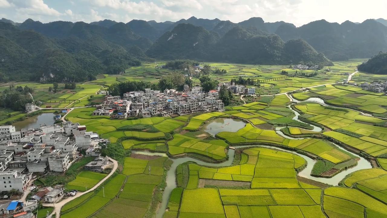 Video thumbnail for China: Mature Rice Fields.