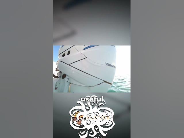 Video thumbnail for Useful features with Newer trim-tabs