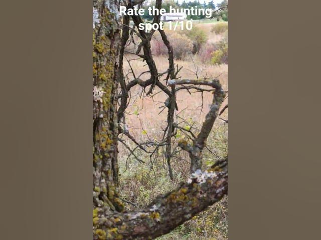 Video thumbnail for October 18, 2025