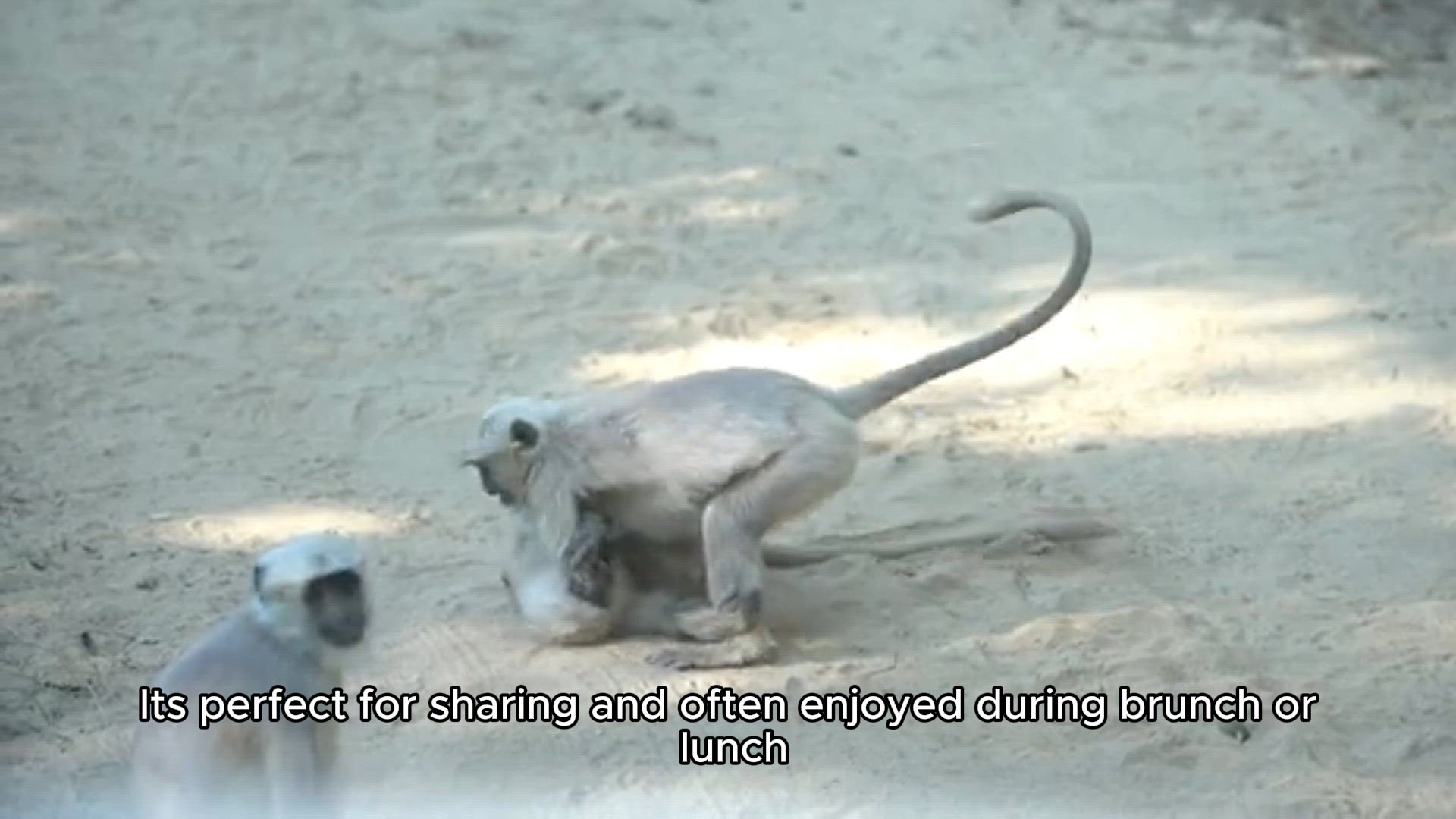 Video thumbnail for Dim Sum