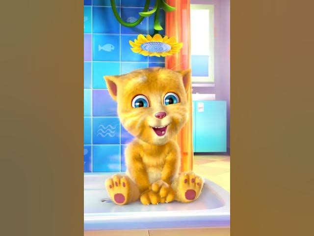 Video thumbnail for Talking Ginger