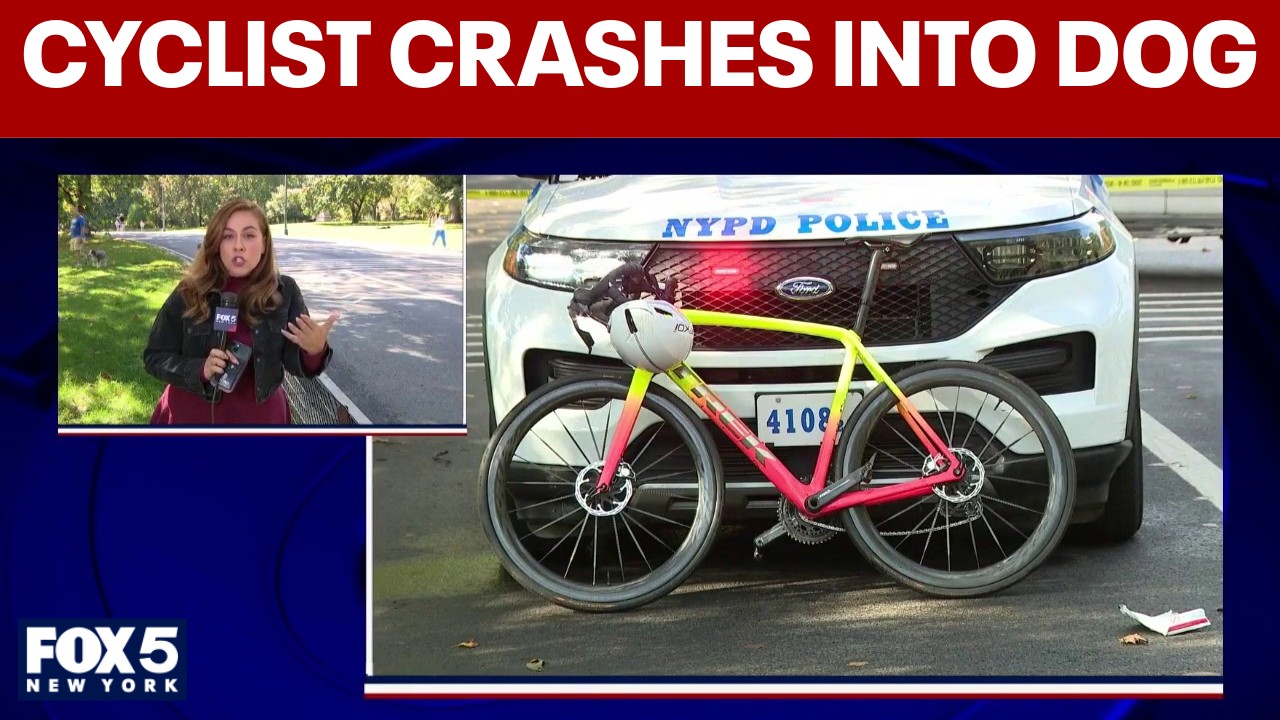 Video thumbnail for Central Park cyclist dies after collision with unleashed dog