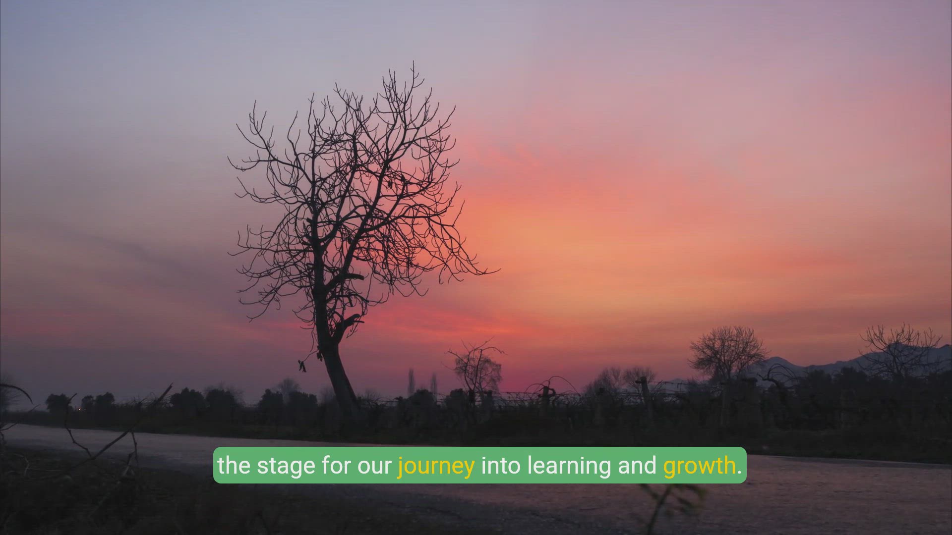 Video thumbnail for Inspiring Educational Quotes to Ignite Your Passion for Learning