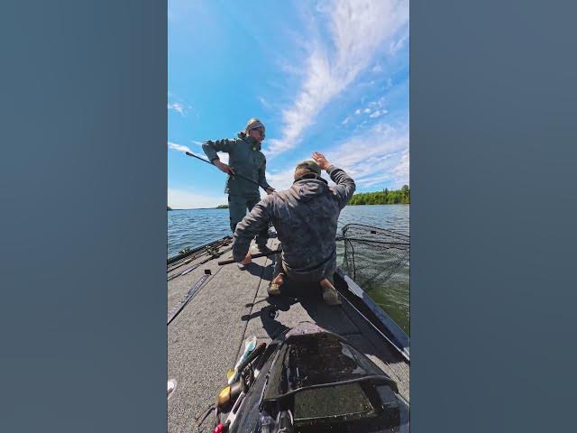Video thumbnail for We hope your weekend looked a little something like this..🤞🏼🤩 #muskyfishing #musky