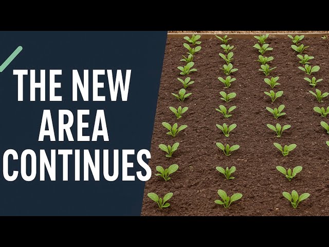 Video thumbnail for 🎥 ✅ “Allotment Transformation Continues 🌿🛠️ | Progress on the New Garden Area 🌱✨”