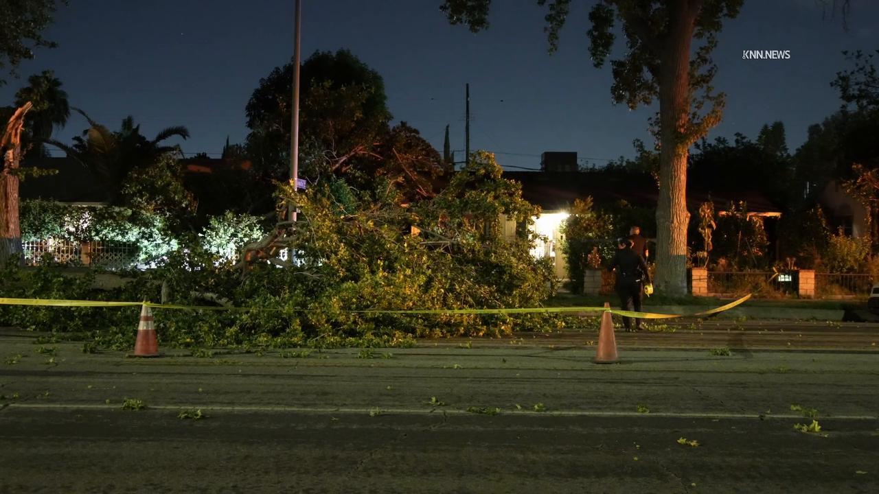 Video thumbnail for US, Los Angeles: Lake Balboa Tree Falls On Car and Blocks Road.