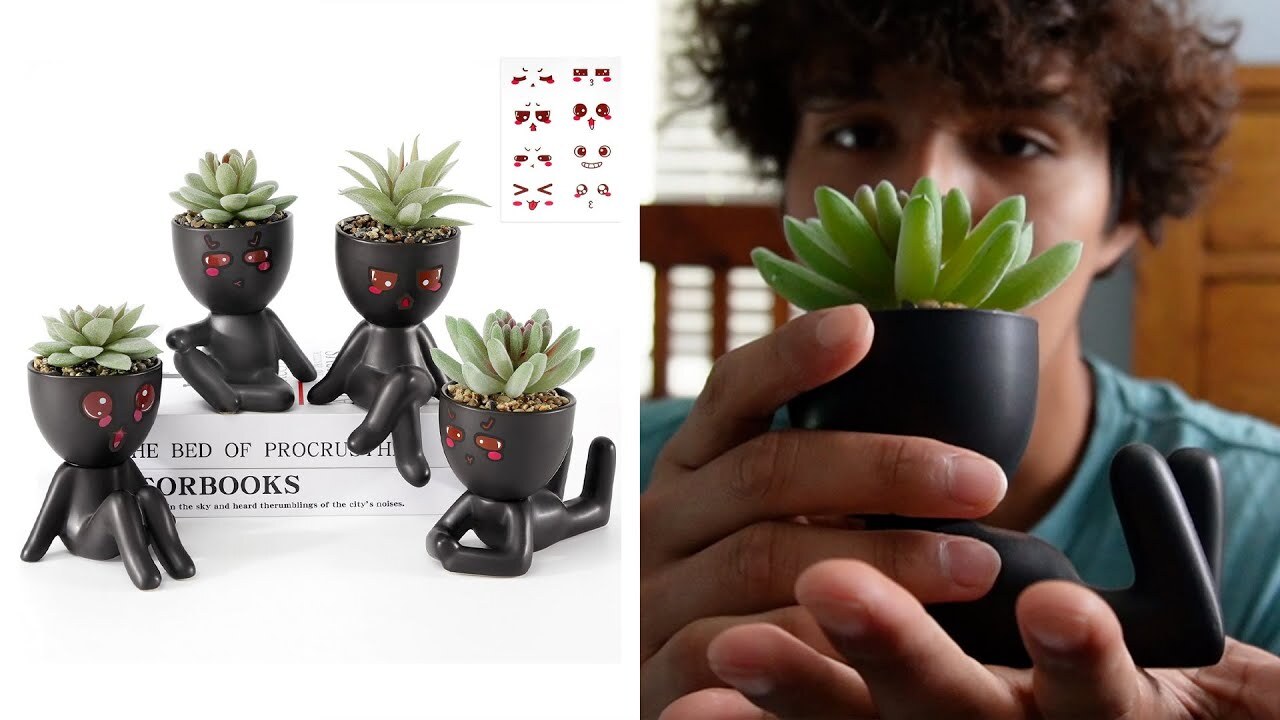 Video thumbnail for Yastouay 4 Pack Fake Succulents Plants Review