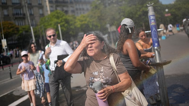 Video thumbnail for More than 1,300 excess deaths recorded in Europe heatwave: WHO