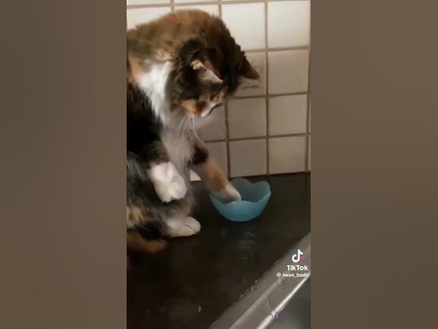 Video thumbnail for March 15, 2024