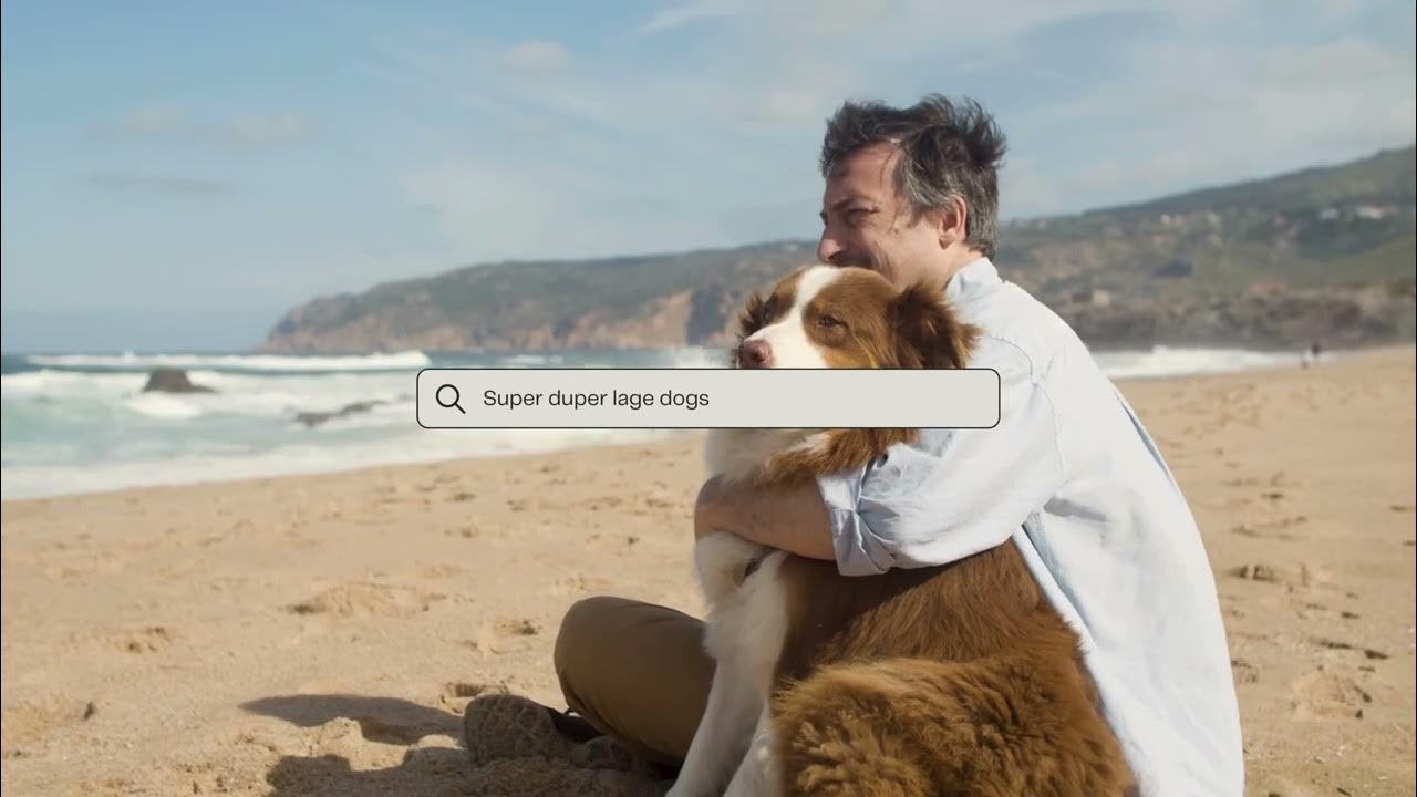 Video thumbnail for Large dog breeds: Learn all about the largest dog breeds in the world