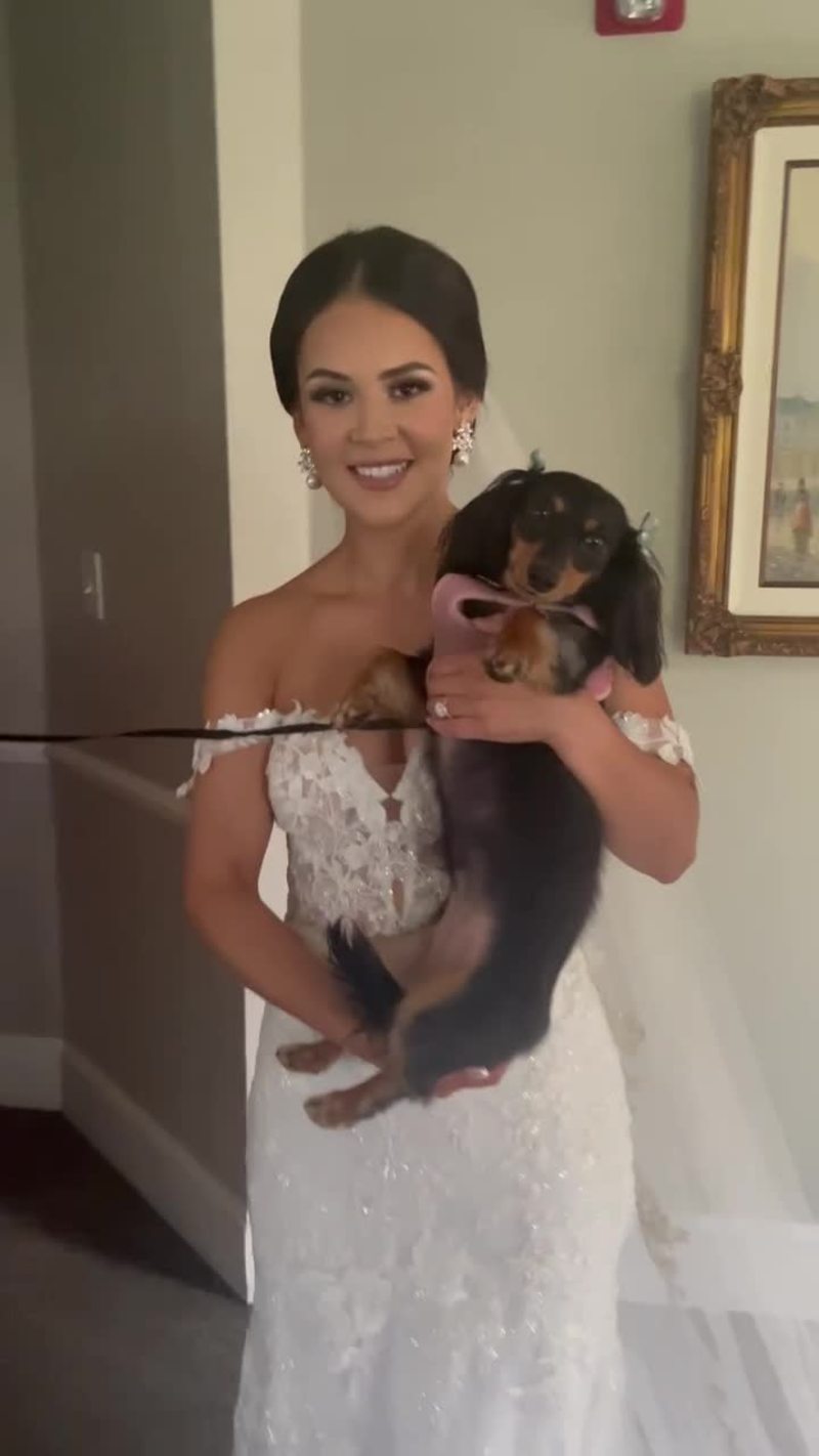 Video thumbnail for Bride Sharing First Look with Dachshund on Wedding Day