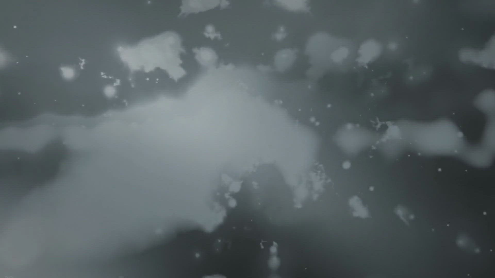 Video thumbnail for Was Socrates Ugly?