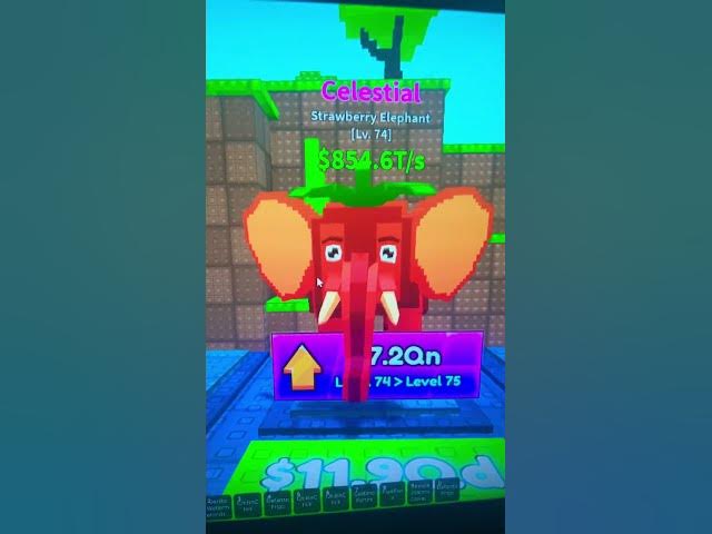 Video thumbnail for WHERE’S THE ELEPHANT?! #caylus #foltyn #sammy