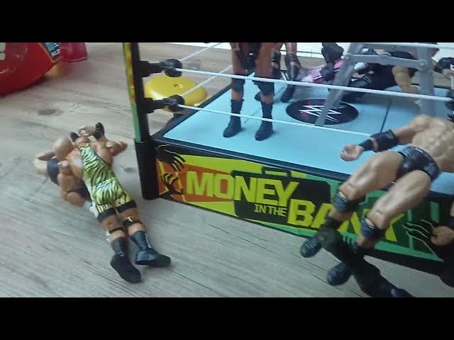 Video thumbnail for My Wwe action figures!