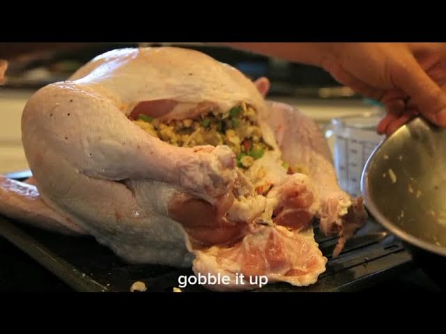 'Video thumbnail for 10 Hilarious Thanksgiving Jokes & Puns to Brighten Your Holiday | Turkey Day Humor & Laughs'