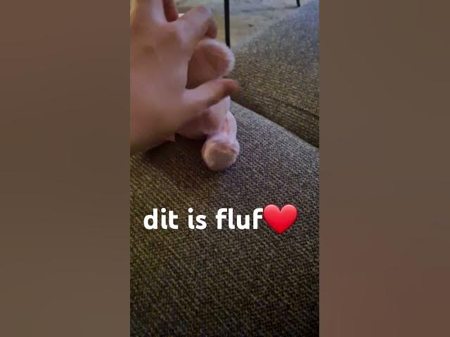 Video thumbnail for Ontmoet fluf van der pinky