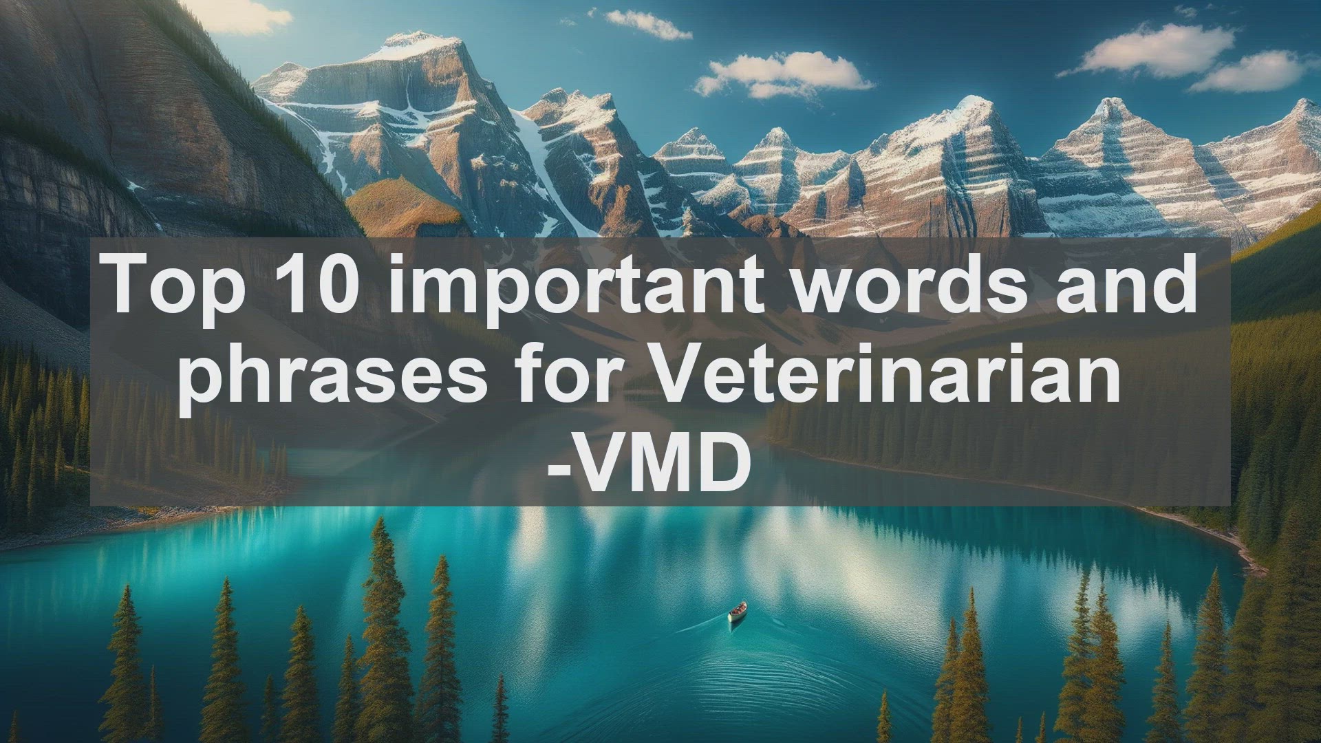 'Video thumbnail for Top 10 important words and phrases for Veterinarian VMD'