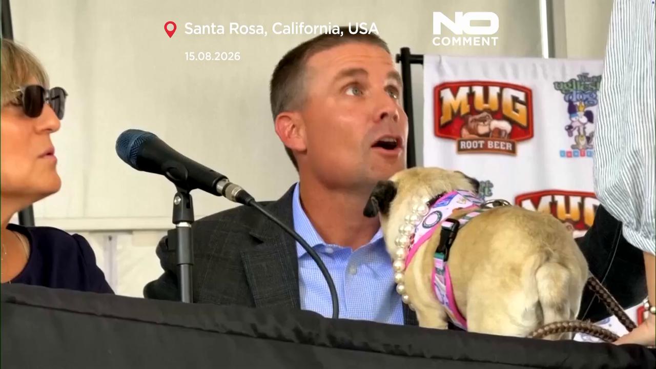 Video thumbnail for World’s Ugliest Dog contest crowns its 2026 winner