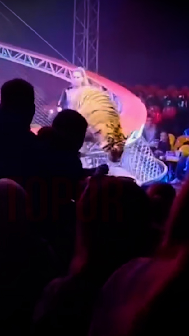 Video thumbnail for Tiger leaps into audience at Russian circus