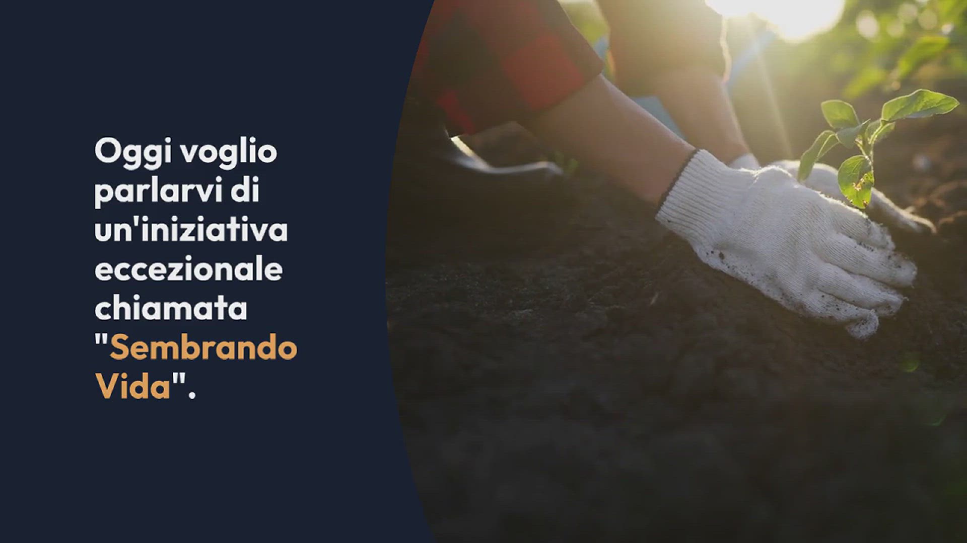 Video thumbnail for Sembrando Vida