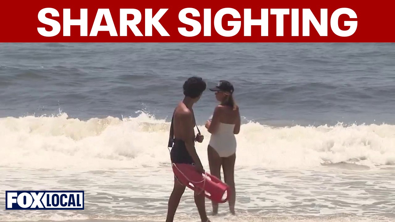 Video thumbnail for 9-foot shark spotted at Long Island beach, first sighting of season