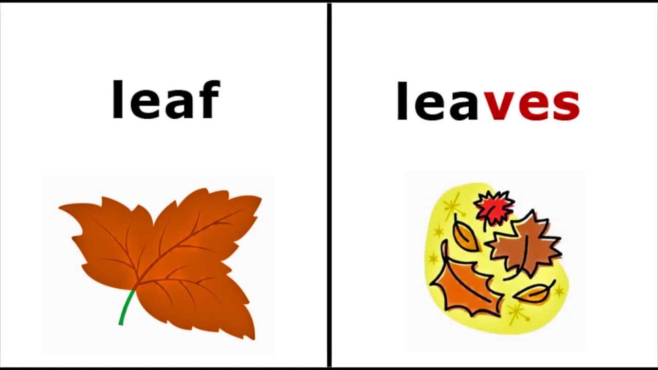 Video thumbnail for Como formar el plural en inglés