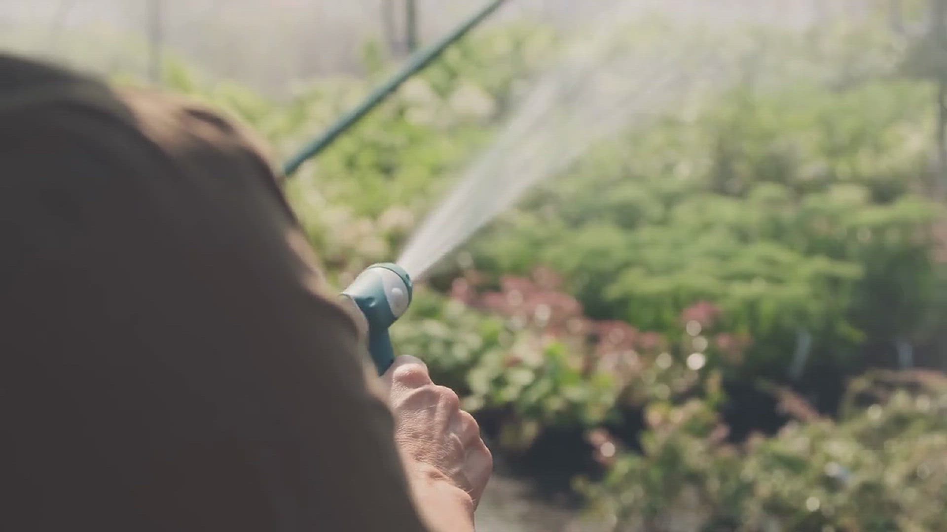 'Video thumbnail for The Mental Health Benefits of Gardening'
