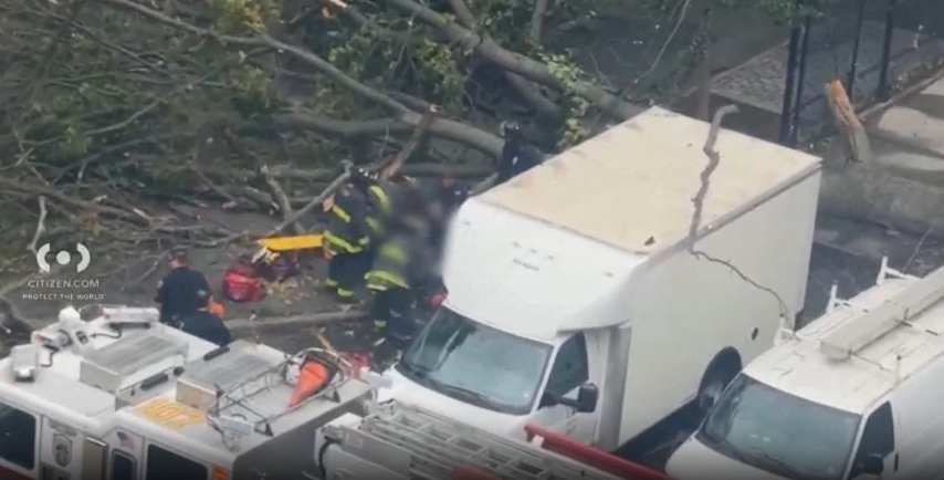 Video thumbnail for East New York neighbors concerned after NYCHA worker killed by fallen tree
