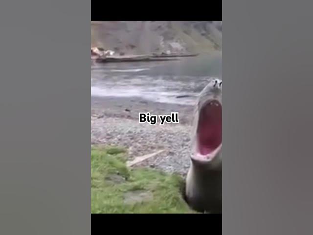 Video thumbnail for March 20, 2025