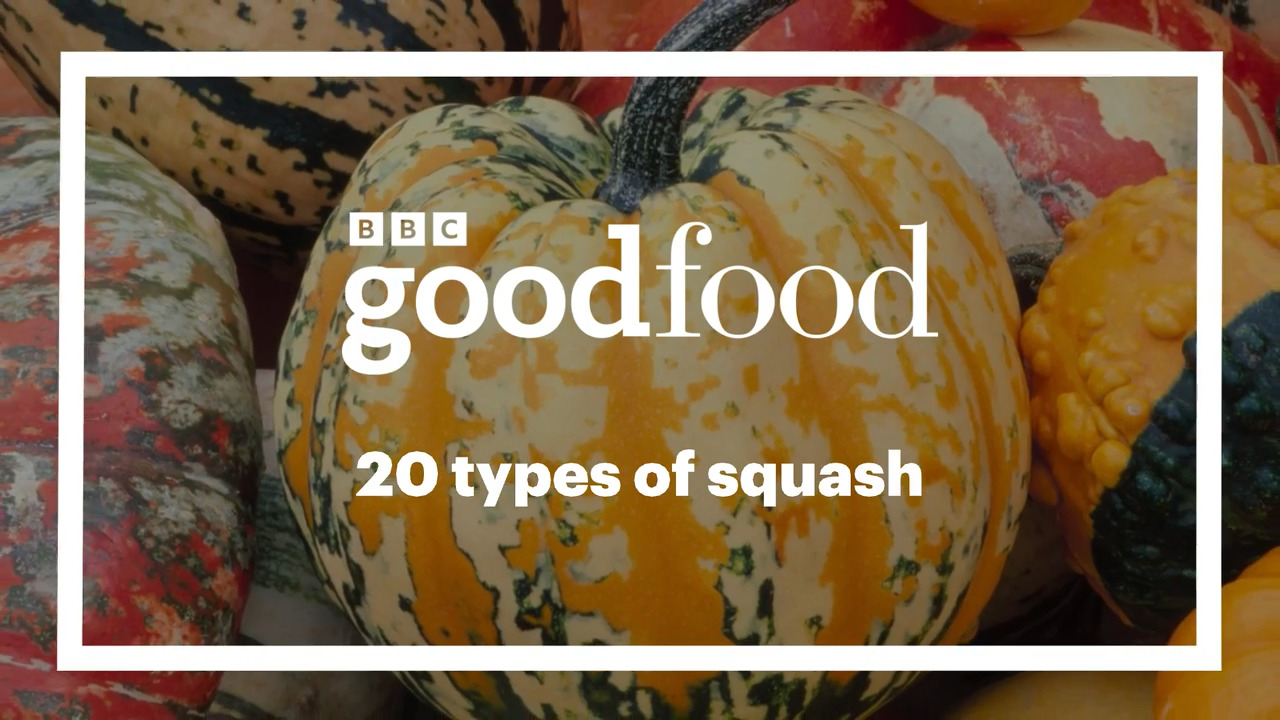 Video thumbnail for 20 types of squash