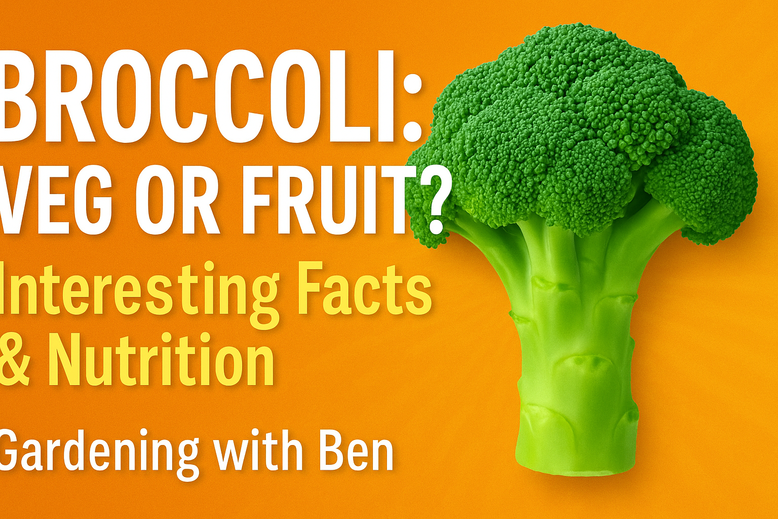 Video thumbnail for 🎥 ✅ Is Broccoli a Fruit or a Veg? 🥦 | Surprising Facts & Health Benefits Revealed! 🌿✨