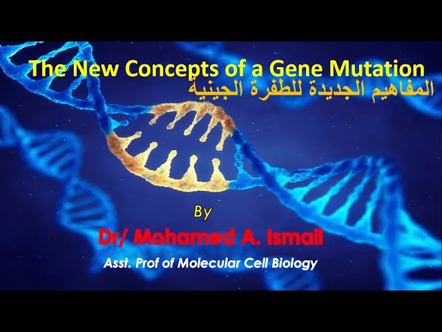 Video thumbnail for The New Concepts of the Gene Mutation  المفاهيم الجديدة للطفرة الجينية