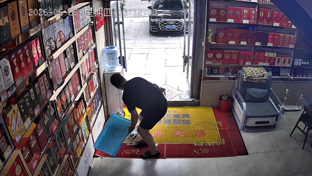 Video thumbnail for Birds Make a Great Escape After Cage Collapses in Store
